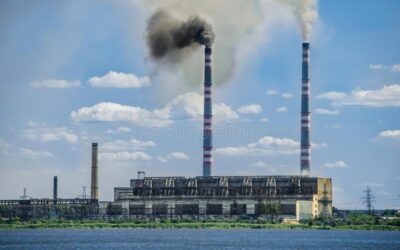 Quel est l’impact des déchets sur l’environnement ?