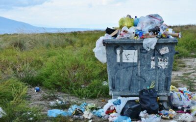 Quelles sont les différents types de déchets ?