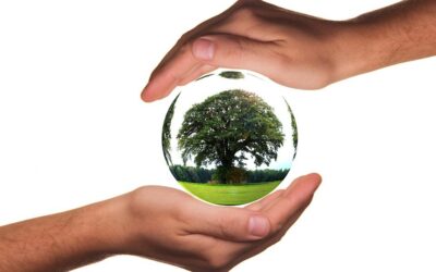 Comment favoriser l’écologie ?